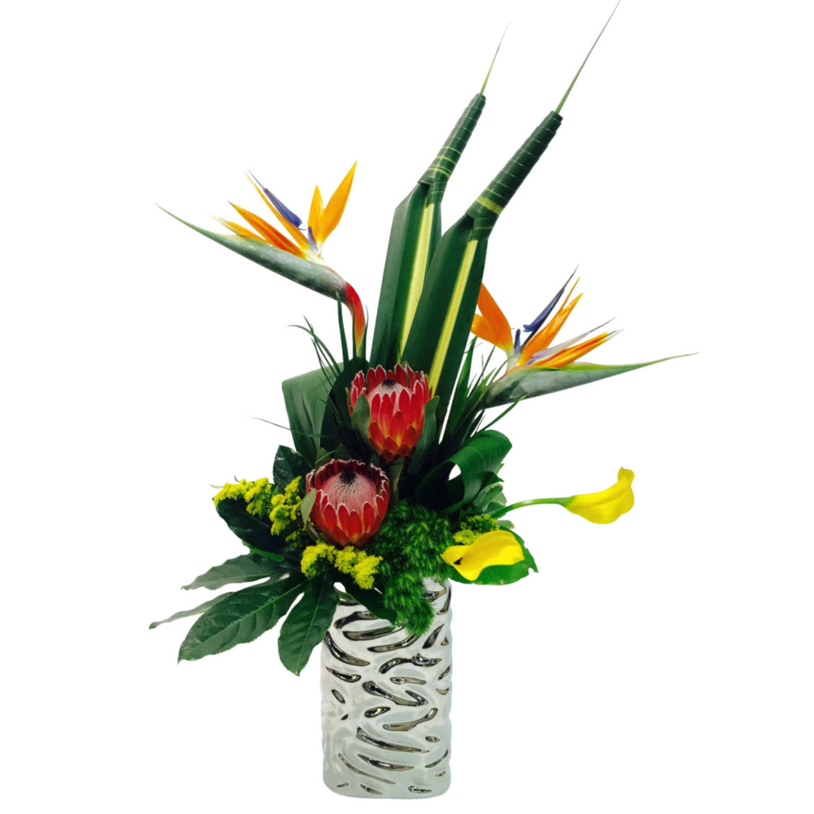 Tropical Delight