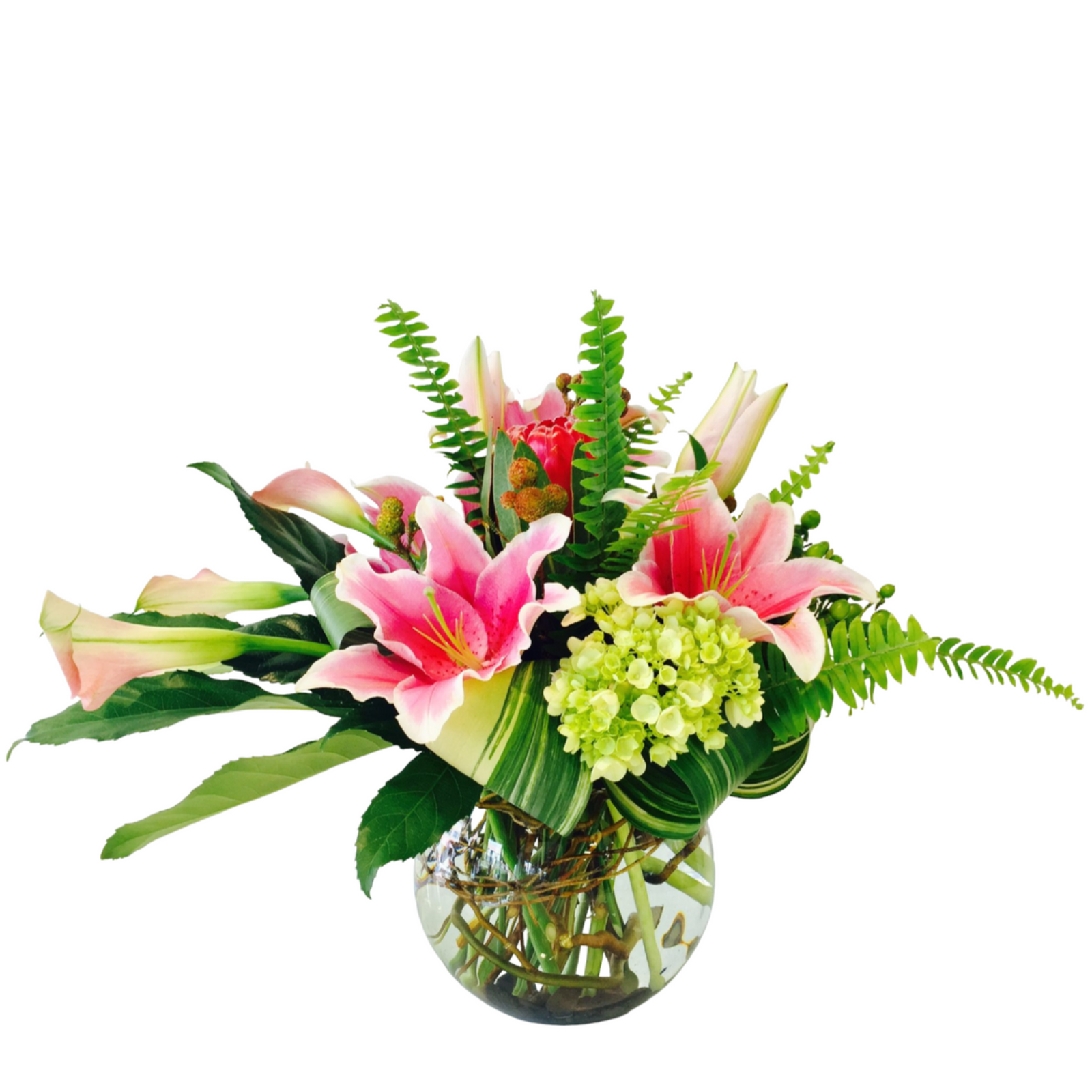 Stargazing Lilies