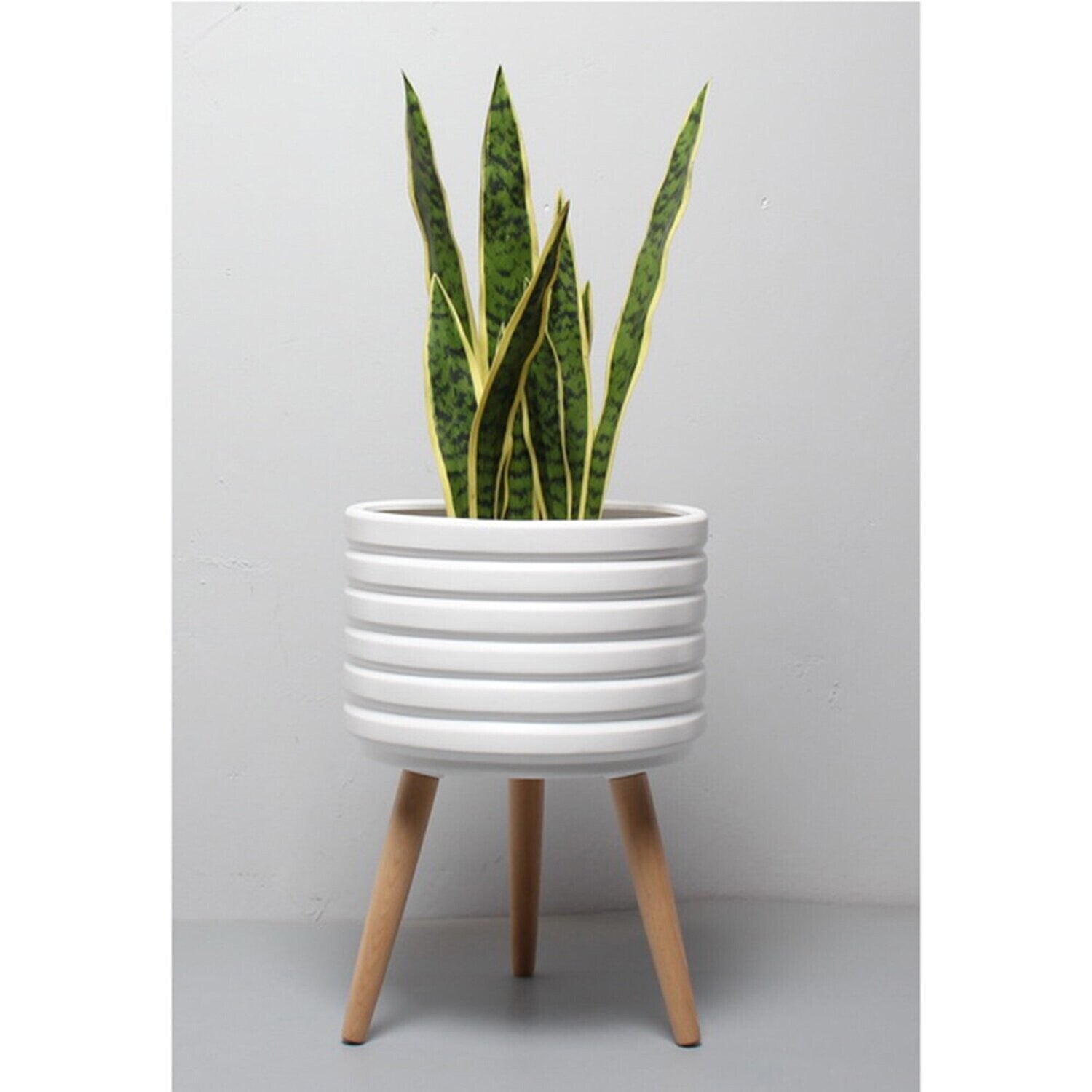 Maddie Ceramic Planter