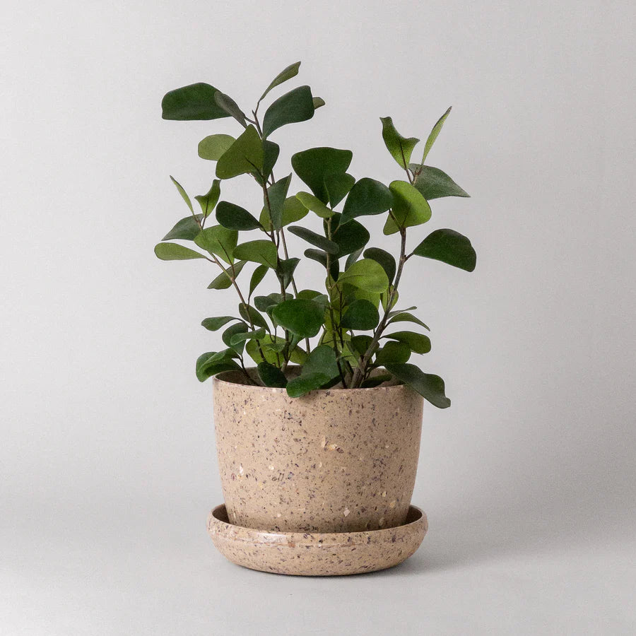 Natural Upcycled Mini Planter