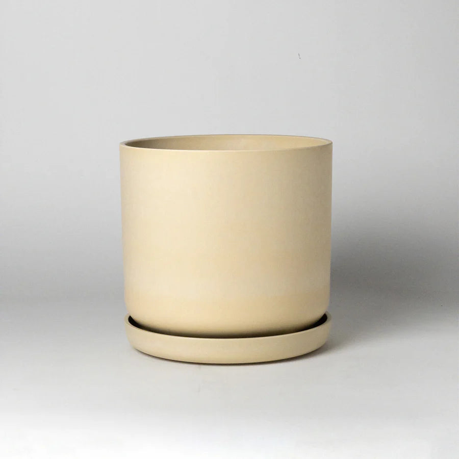 Signature Planter and Saucer