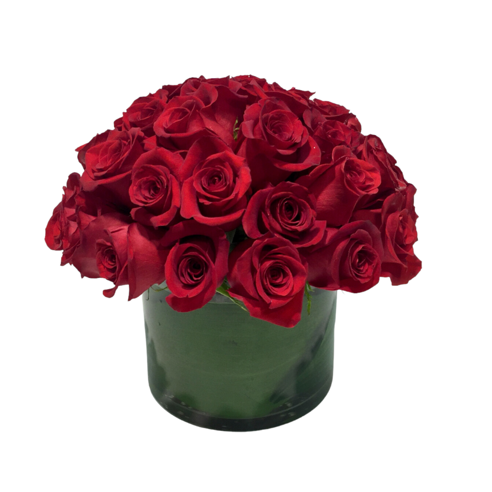 Exquisite Roses (Three Dozen)