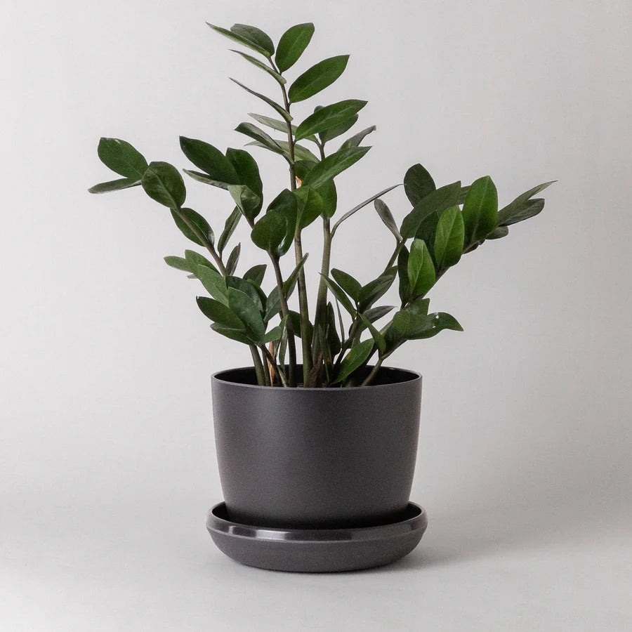 Natural Upcycled Mini Planter