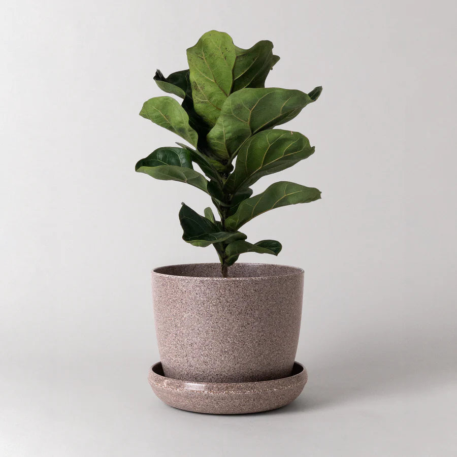 Natural Upcycled Mini Planter